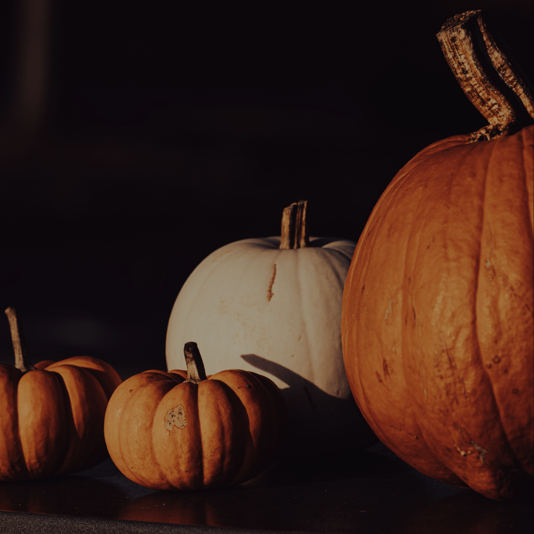WOD-O-WEEN '23